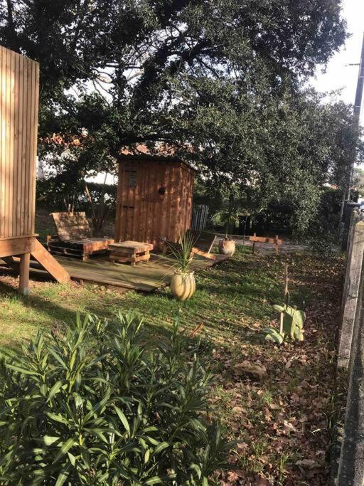 Ma cabane sous les arbres - Appartamento Monolocale - 7