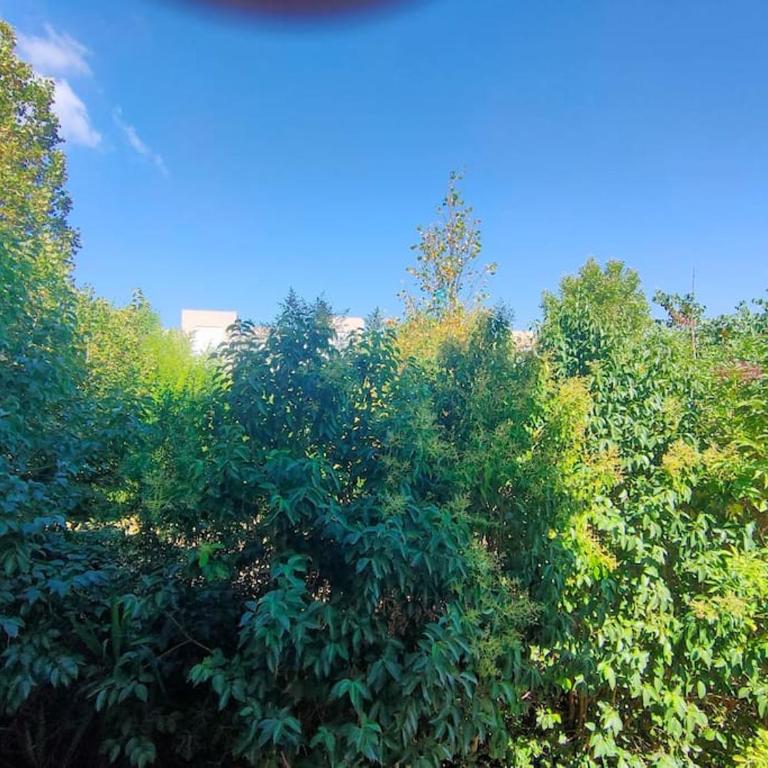 Au pied des calanques, nature, plages à 6min, parking, bus direct, idéal famille - Apartamento de 3 dormitorios - 10