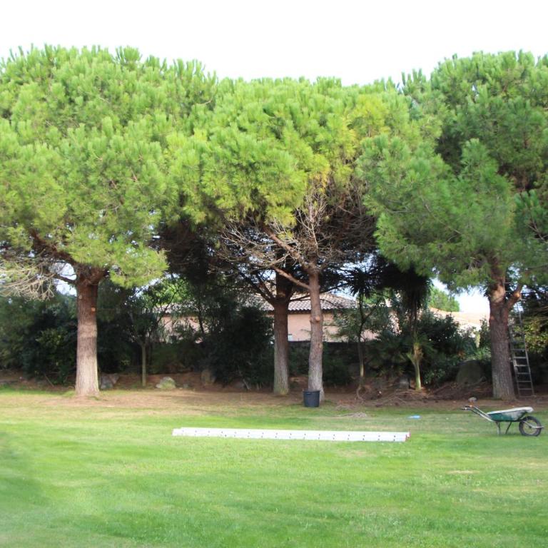Le Grau d'Agde: A vivre en famille et entre amis - Villa - 12
