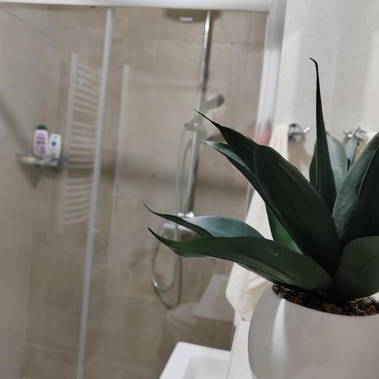 Apartman Luka - Apartman sa 1 Spavaćom Sobom - 1