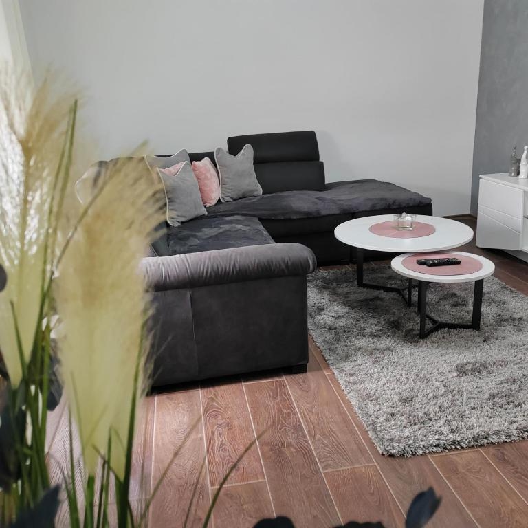 Apartman Luka - Apartman sa 1 Spavaćom Sobom - 6