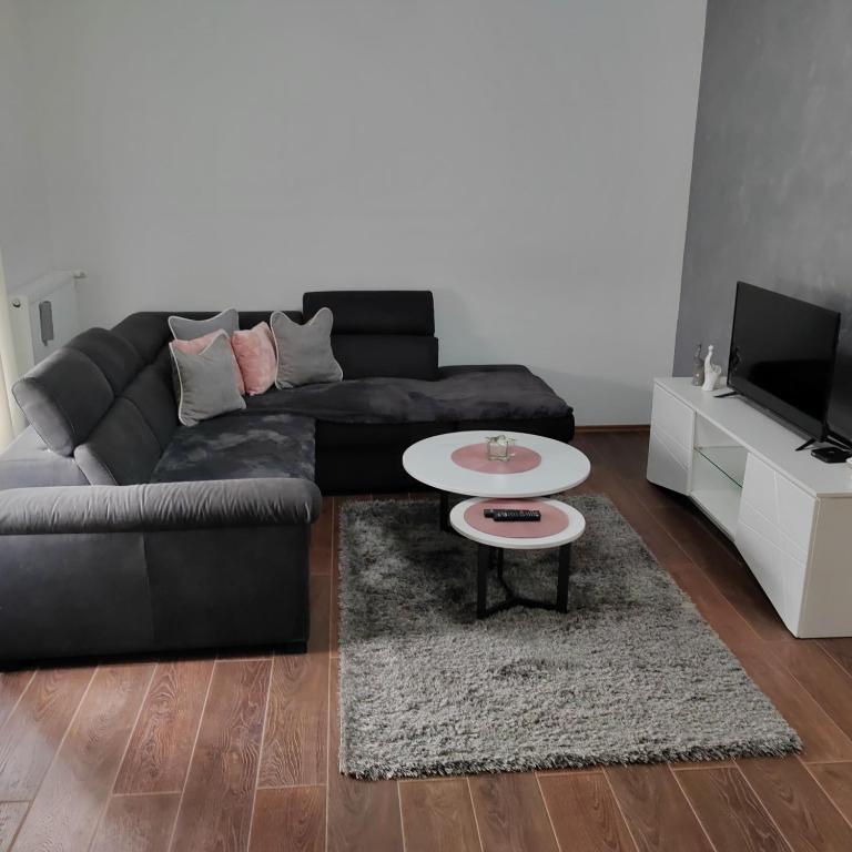 Apartman Luka - Apartman sa 1 Spavaćom Sobom - 8