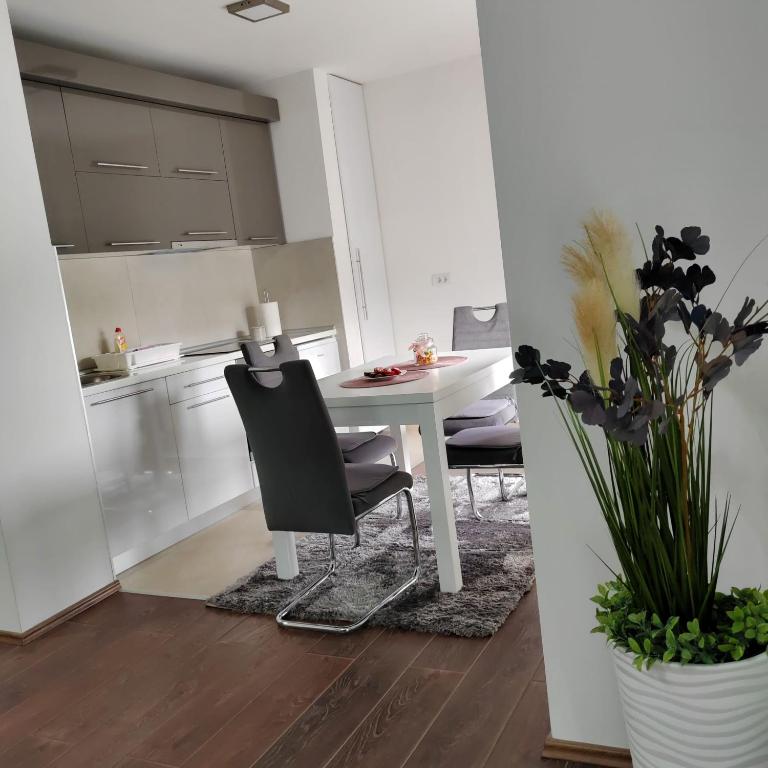 Apartman Luka - Apartman sa 1 Spavaćom Sobom - 9