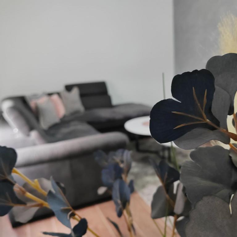 Apartman Luka - Apartman sa 1 Spavaćom Sobom - 14