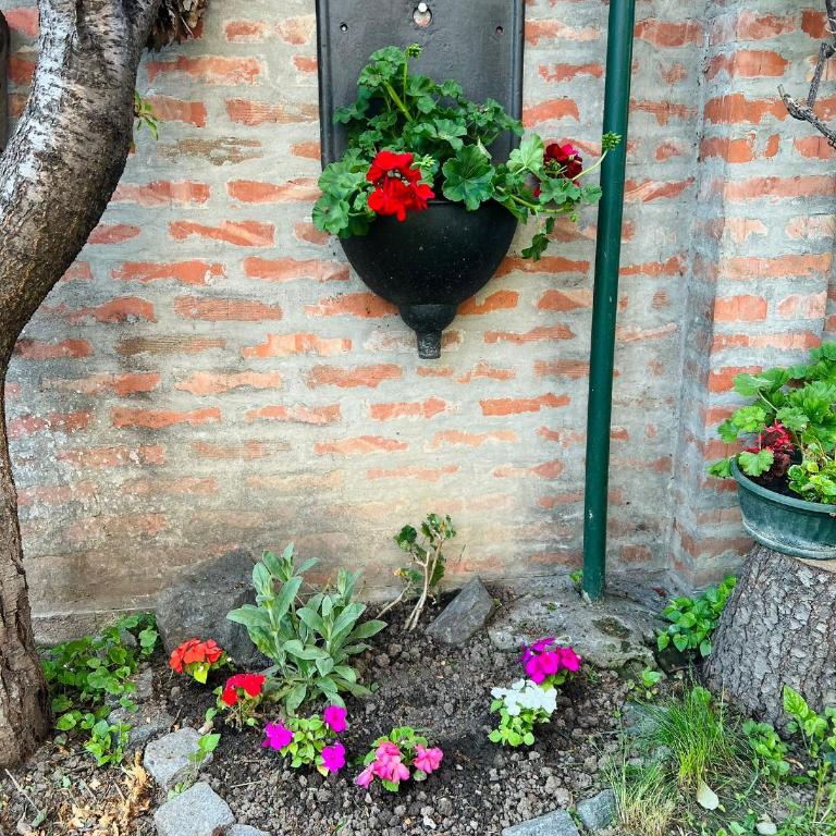 Lily - Apartman sa 1 Spavaćom Sobom - 21