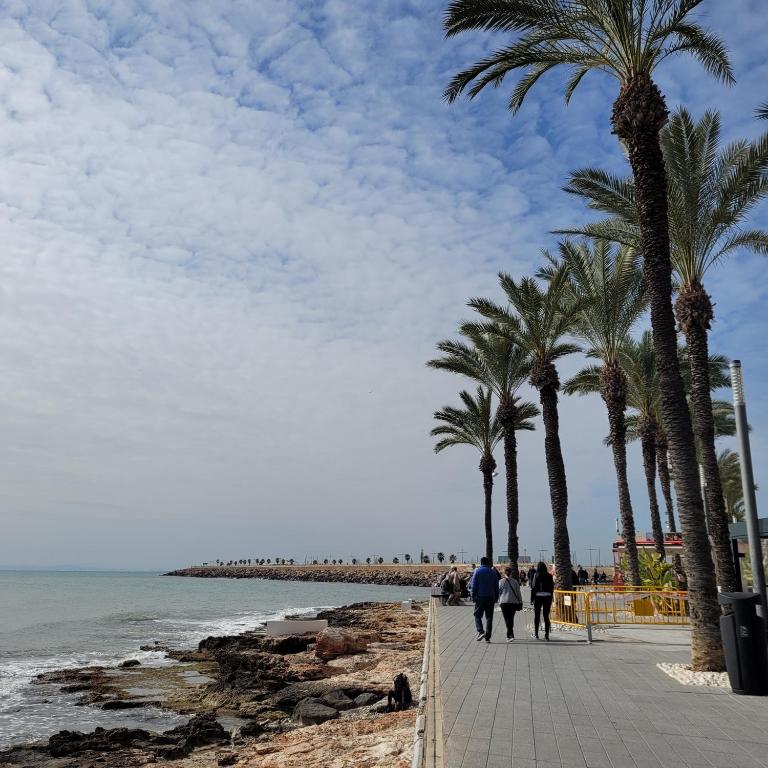 Apartament PERLA DEL MAR - Apartamento de 3 dormitorios - 26