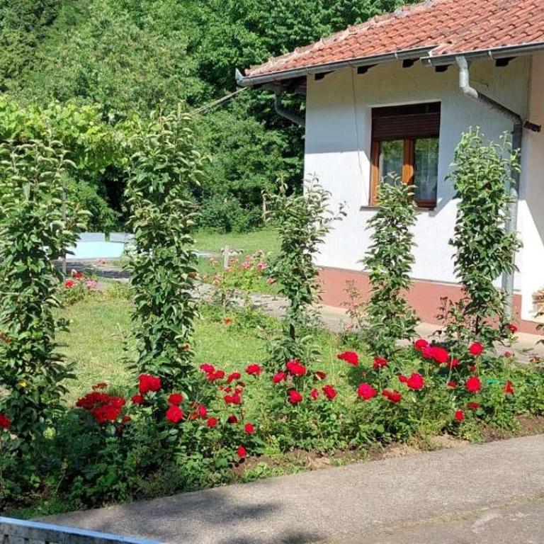 Vitez Koja - Kuća sa 2 Spavaće Sobe - 33