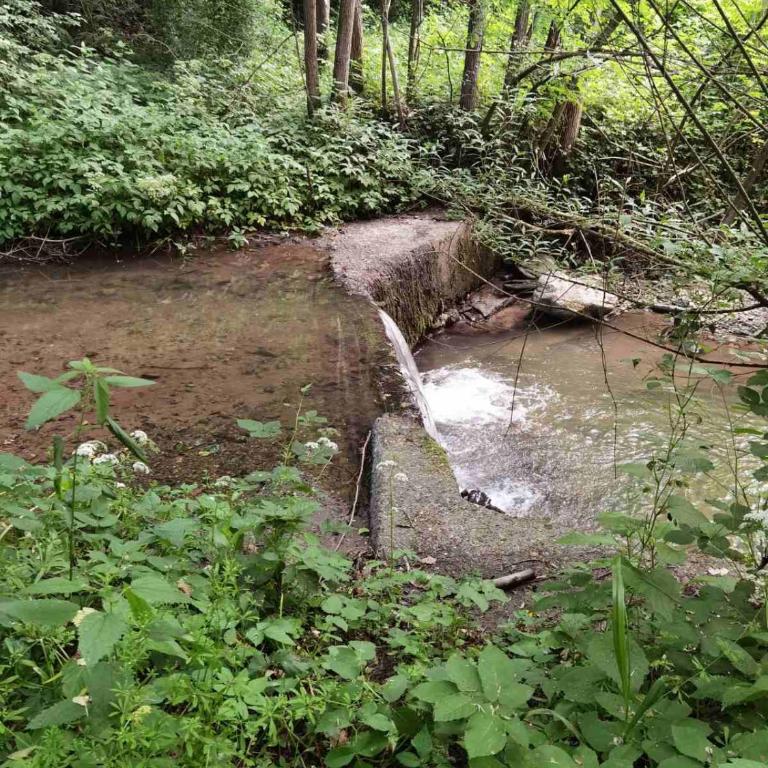 Vitez Koja - Kuća sa 2 Spavaće Sobe - 43