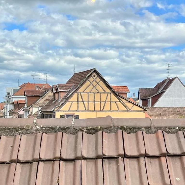 Seppala charmant appartement - Apartamento de 1 dormitorio - 6