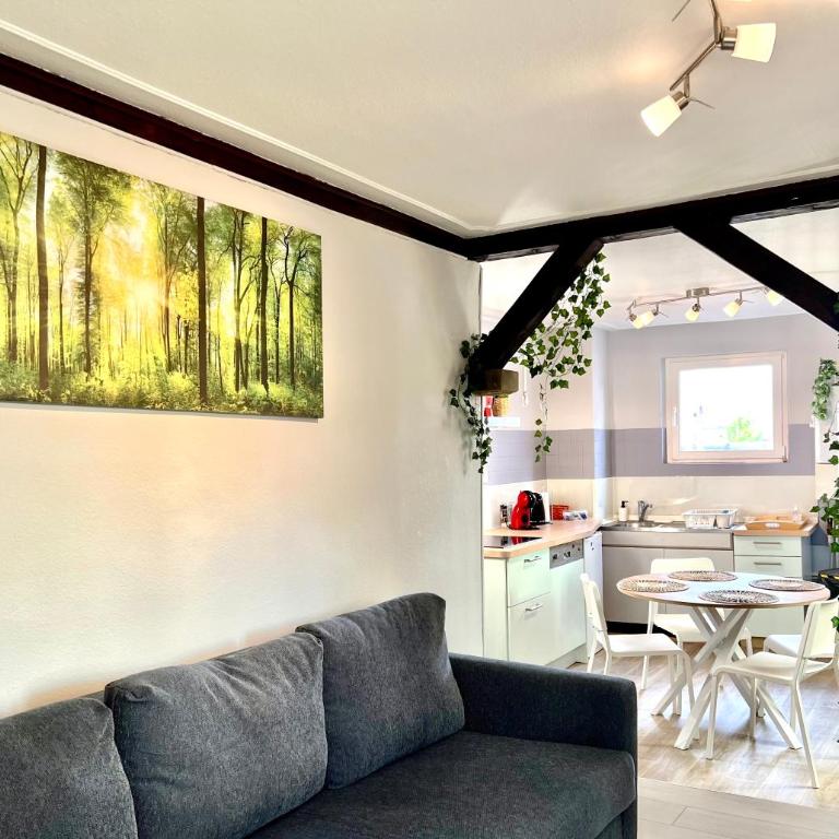 Seppala charmant appartement - Apartamento de 1 dormitorio - 26