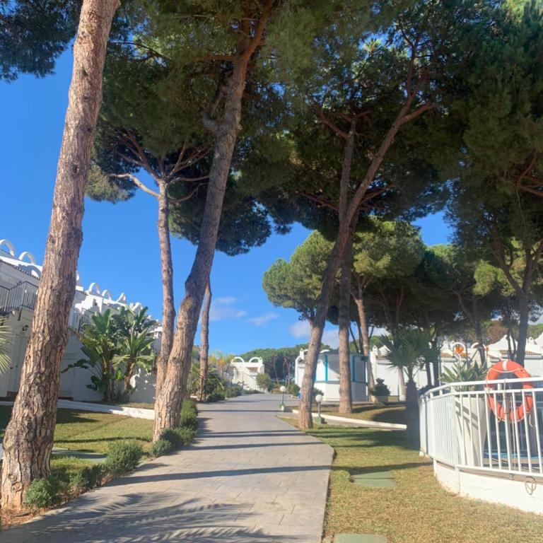Casa Silvia Marbella - dom w kompleksie hotelowym - Villa de 2 dormitorios - 52
