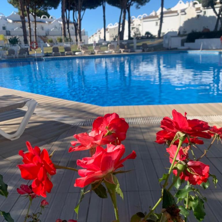 Casa Silvia Marbella - dom w kompleksie hotelowym - Villa de 2 dormitorios - 9