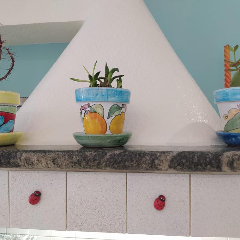 Biddizzi Apartment - Two-Bedroom Apartment - 29