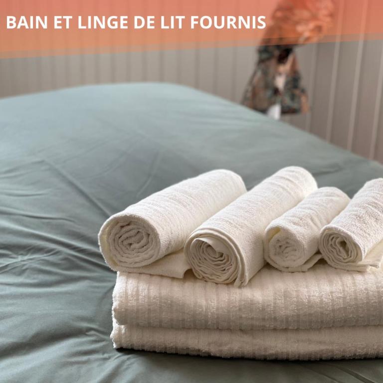 Appartement T3 63m2 - L'Atypique et son Jardin de 350m2 au cœur de Digne - Appartement - Vue sur Jardin - 26