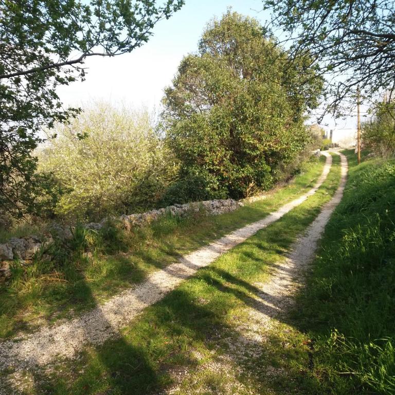 Trulli di Puglia - Casa vacanze in Valle d'Itria - Casa Vacanze - 14