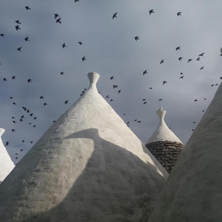 Trulli di Puglia - Casa vacanze in Valle d'Itria - Casa Vacanze - 42