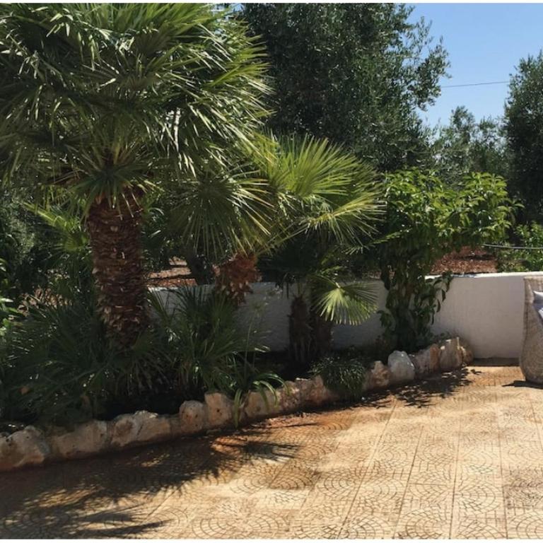 Trullo L'ulivo - Casa con 2 Camere da Letto - 36