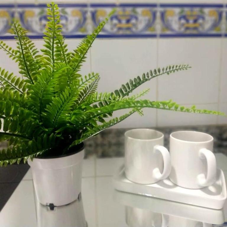 Apartamento Las Canastas Cádiz Centro a pie de Catedral y playa - Apartamento de 1 dormitorio - 1