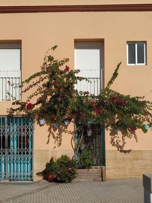 Apartamento Las Canastas Cádiz Centro a pie de Catedral y playa - Apartamento de 1 dormitorio - 46