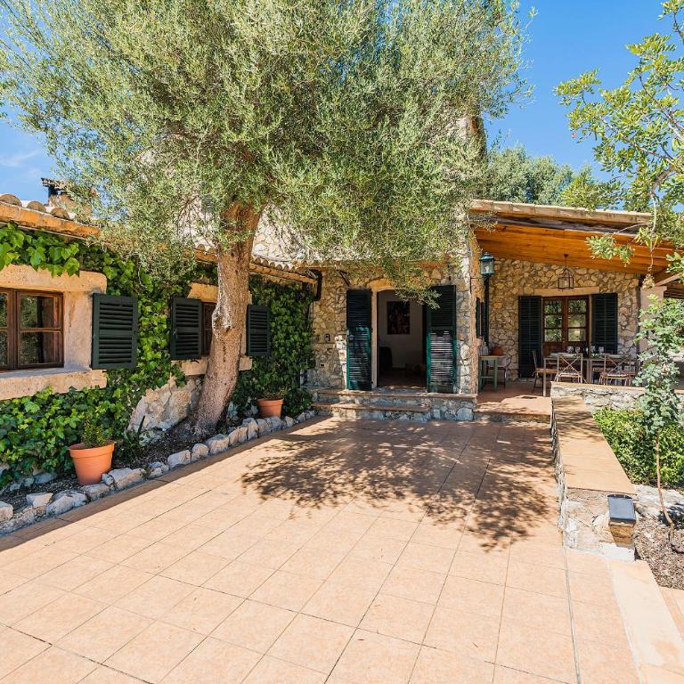 Noguera -Pollensa - Villa de 3 dormitorios - 7