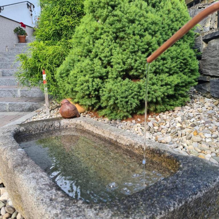 Landhaus Rieser - Appartamento con 2 Camere da Letto - 2
