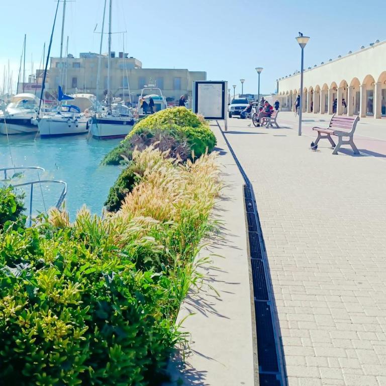 La Chiocciola Beach Apartment Rome Ostia near Fiumicino - Appartamento con 1 Camera da Letto - 37
