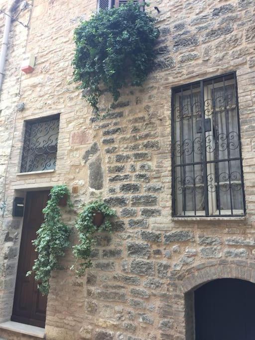 Appartamento incantevole in pieno centro storico - Appartamento - 23