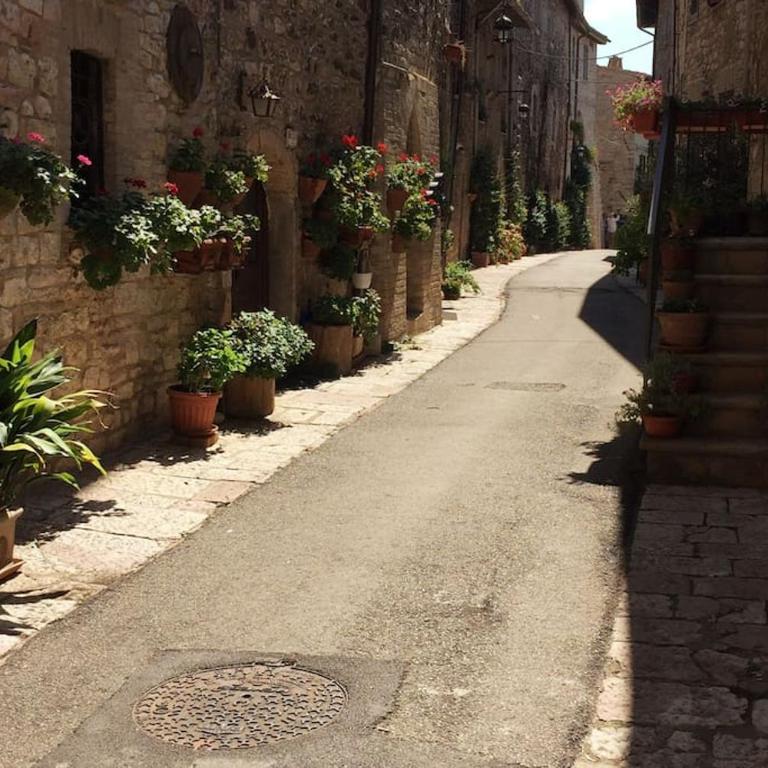 Appartamento incantevole in pieno centro storico - Appartamento - 21