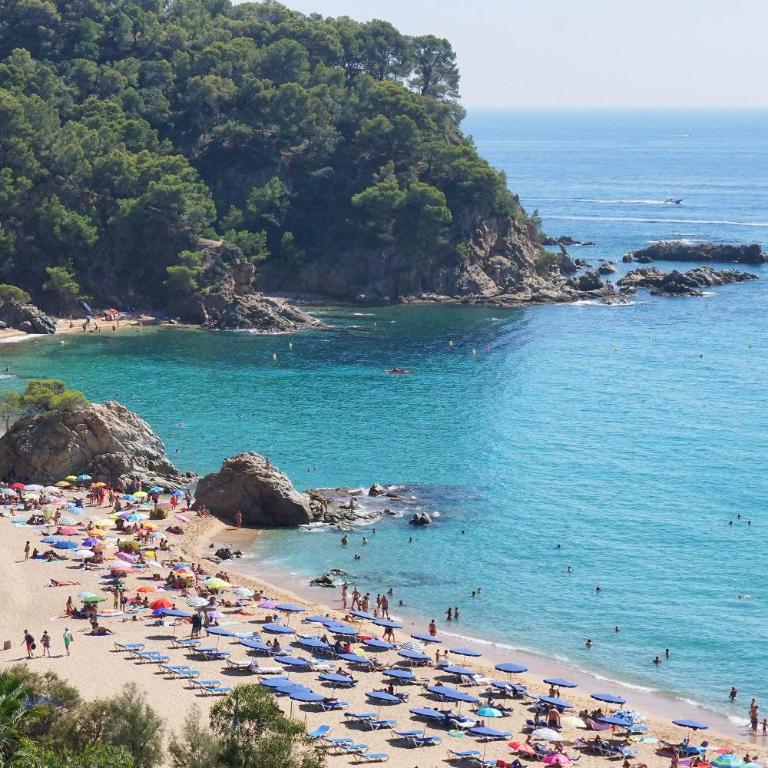 V&V LLORET- Apartamento Europa - Apartamento de 2 dormitorios - 32