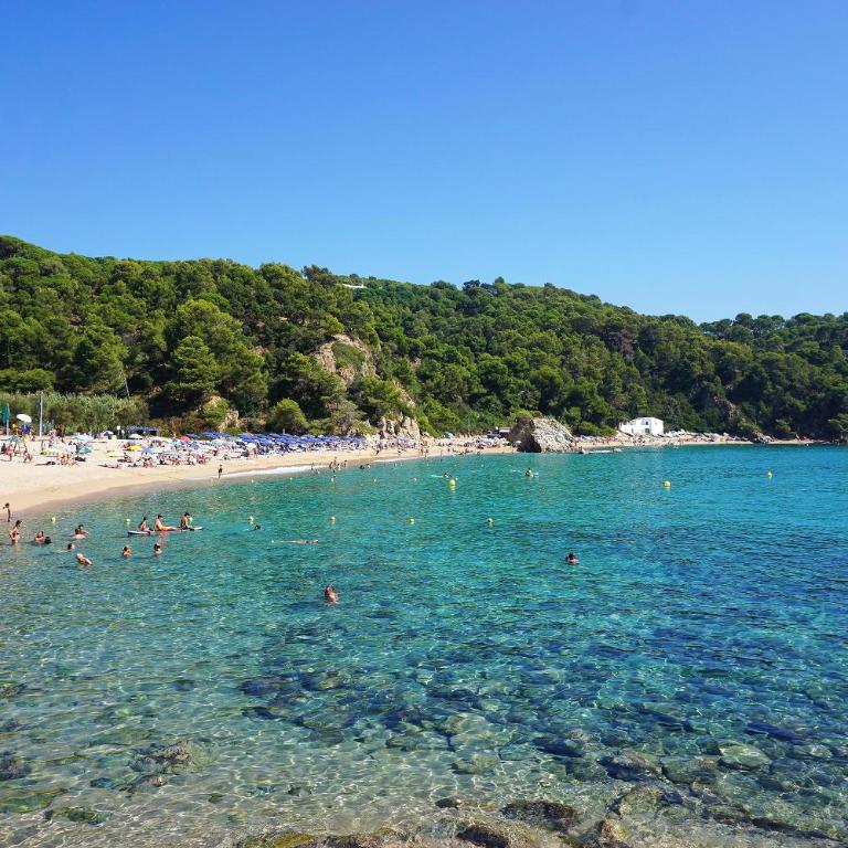 V&V LLORET- Apartamento Europa - Apartamento de 2 dormitorios - 31