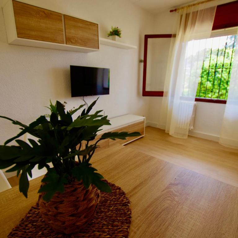 V&V LLORET- Apartamento Europa - Apartamento de 2 dormitorios - 24