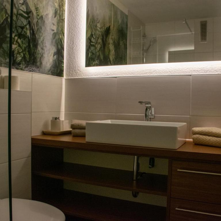 Rosenalm - Unterkunft mit Pool und Sauna im Allgäu - Appartamento - 12