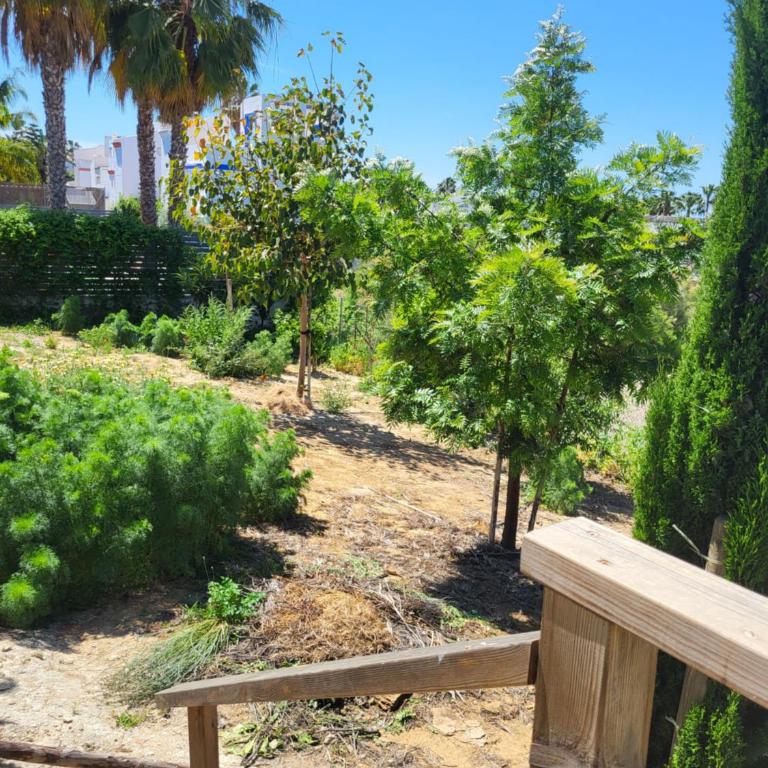 Family house with nice garden 10min from Sanlúcar - Casa de 3 dormitorios - 45
