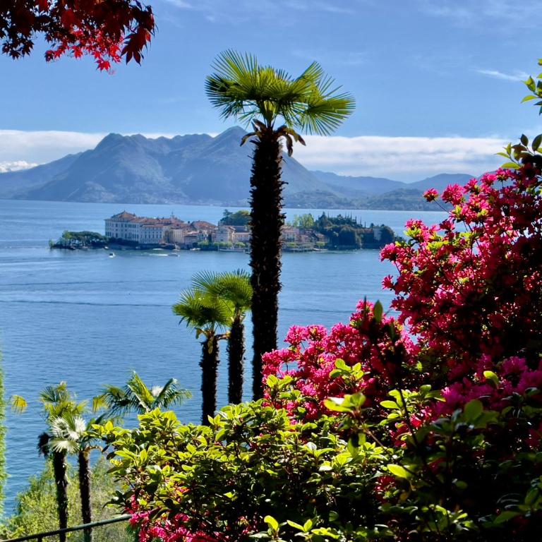 Appartamento vista Lago, giardino spiaggia a Stresa vista Isole Borromee e Golfo Borromeo - STRESAFLAT - Monolocale con Vista Lago - 1