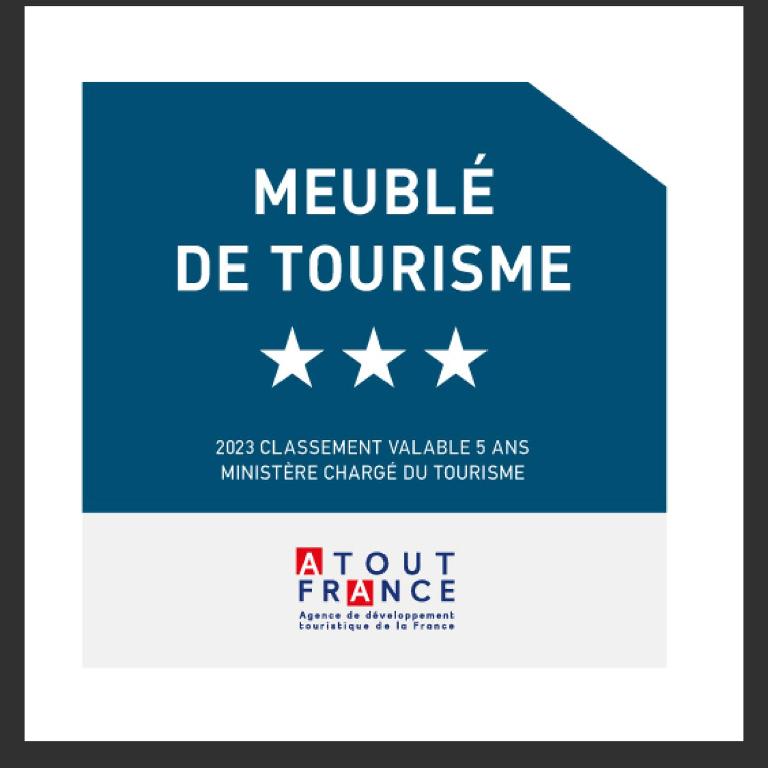 Luxury 2 Bedroom Apartment with view of Mont Blanc - Appartement avec Vue sur la Montagne - 16
