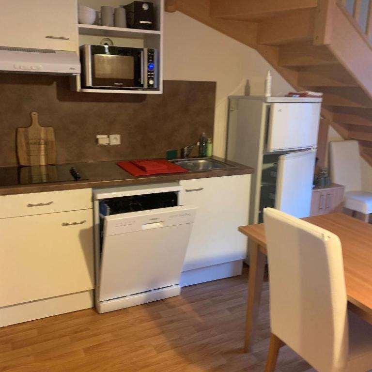 Le Nivelet - Duplex aux pieds des pistes toute l'année - Apartment mit 1 Schlafzimmer - 20