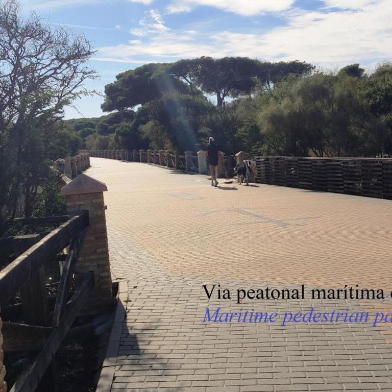 Rota Punta Candor Terrace Playa 3 Bajo C - Two-Bedroom Apartment - 44