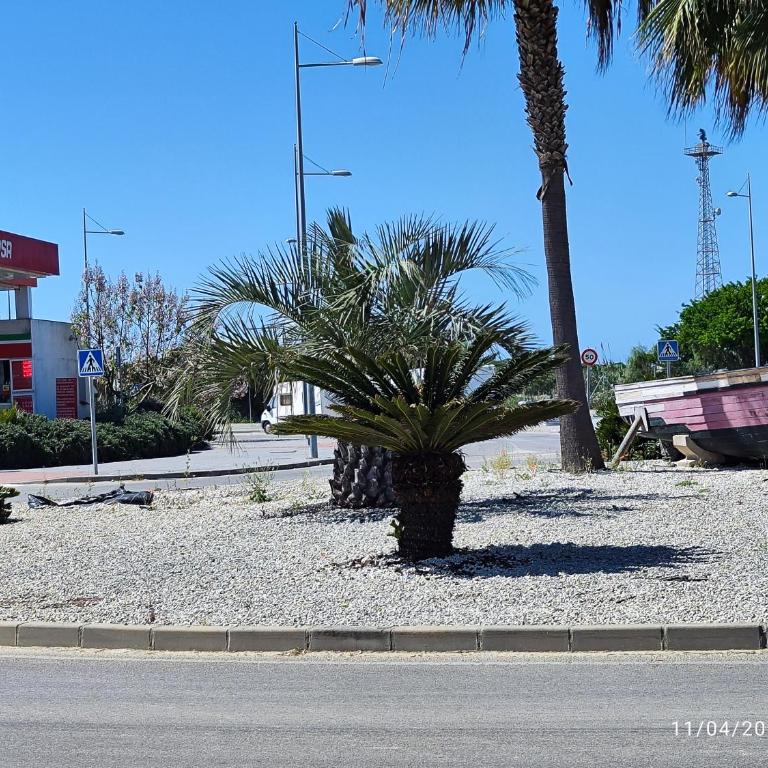 Rota Punta Candor Terrace Playa 3 Bajo C - Two-Bedroom Apartment - 37