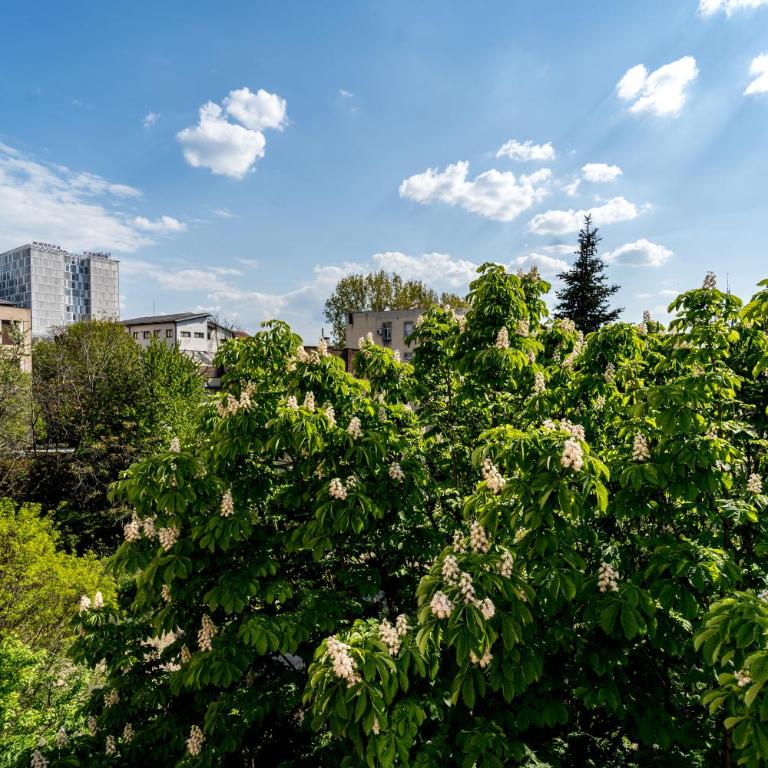 Apartment Kneza Milosa - Apartman sa 3 Spavaće Sobe - 30