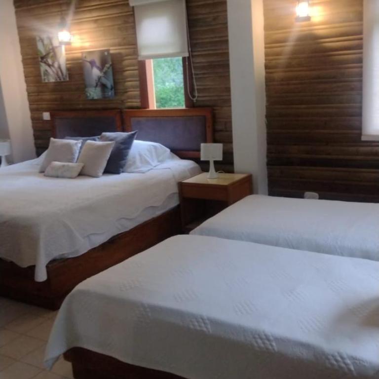 HOTEL IGUAIMA - Habitación Doble con balcón - 4