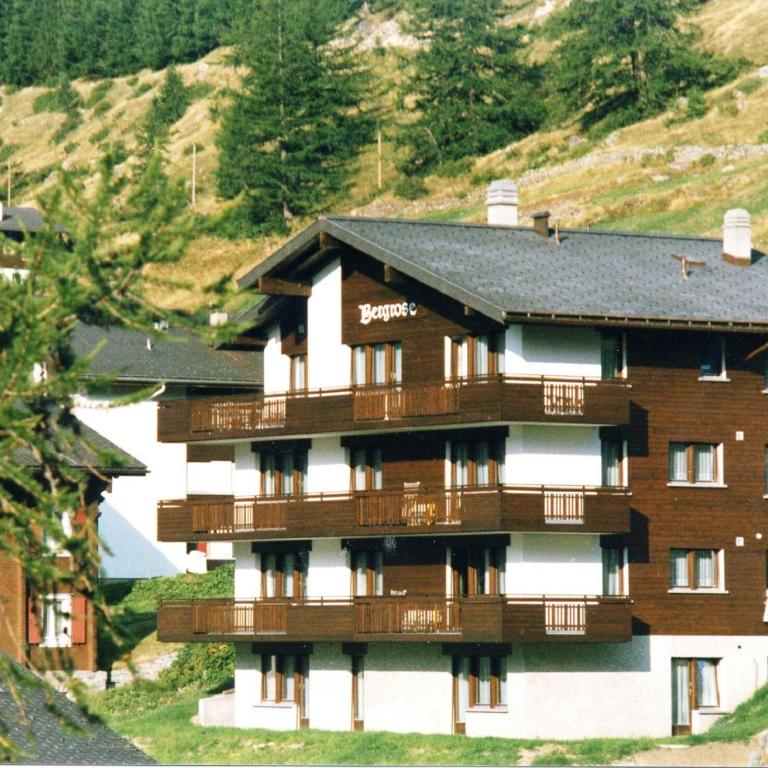 Apartments Bergrose - Apartment - Erdgeschoss - 5