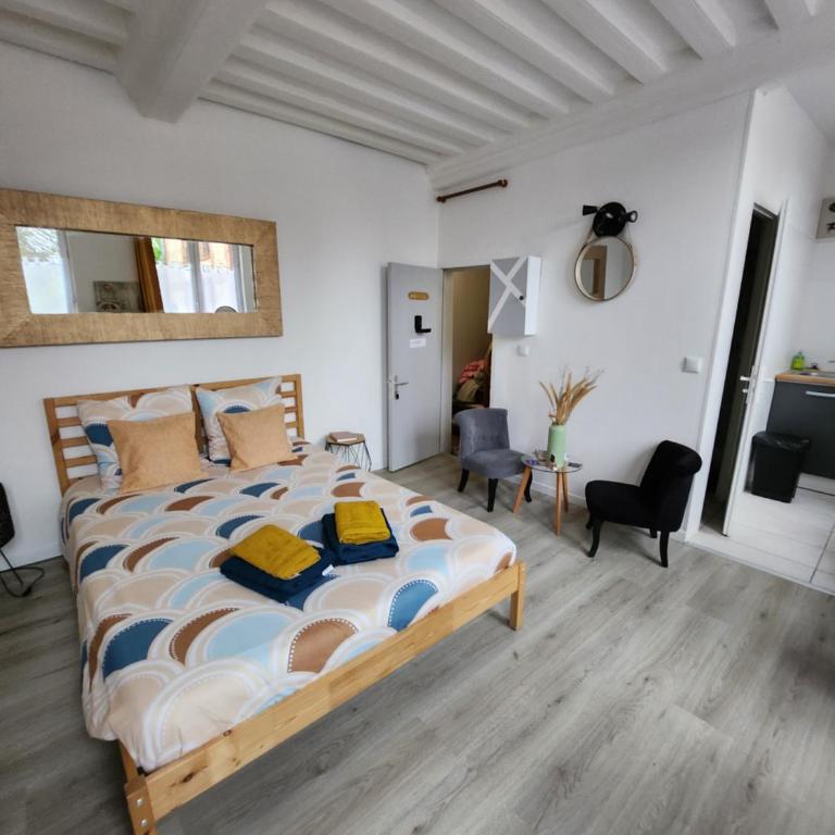 Les Z'amours - Appartement 1 Chambre - 18