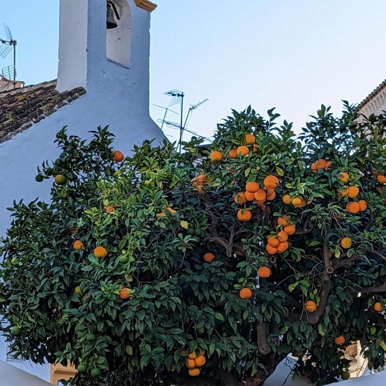 Marbella - Playa Alicate 2br holiday apartment - Two-Bedroom Apartment - 41