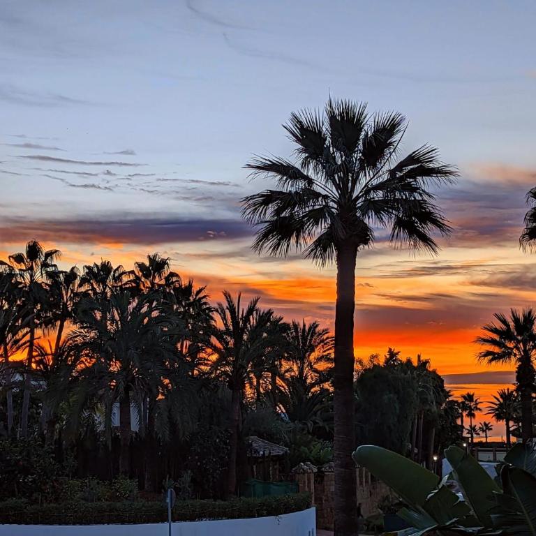 Marbella - Playa Alicate 2br holiday apartment - Two-Bedroom Apartment - 50