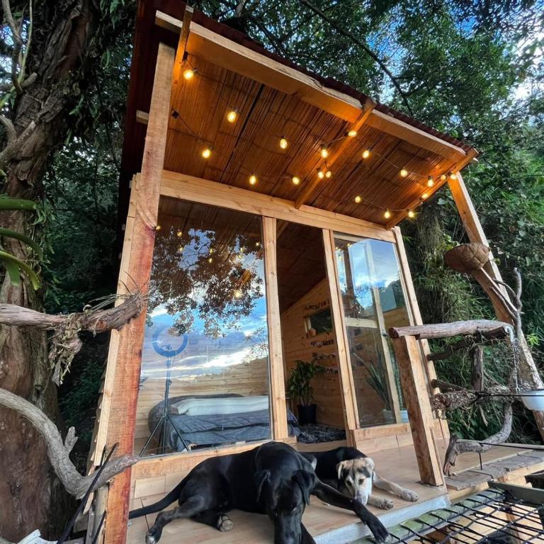 Palu Ecoaldea, Cabañas glamping en medio del bosque - Chalet Superior - 1