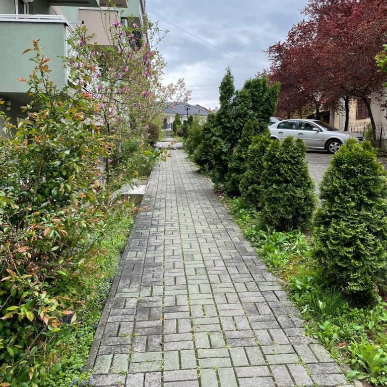 Apartman MINIKI - Apartman sa 1 Spavaćom Sobom - 28