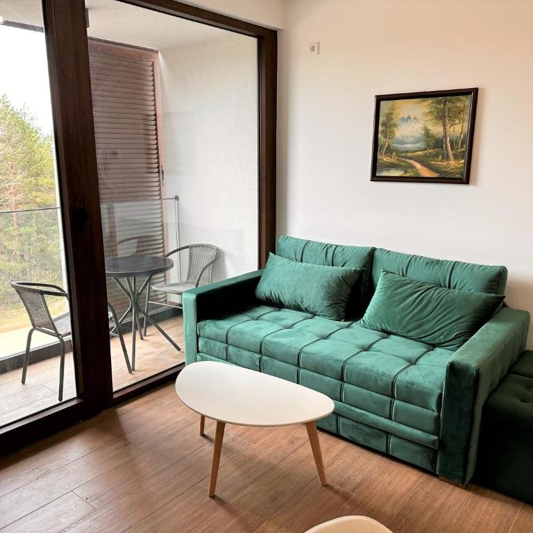 Lexi Borovi apartman - Apartman sa 1 Spavaćom Sobom - 7