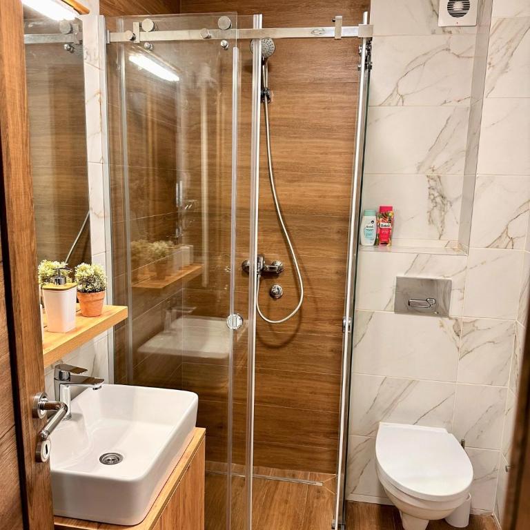 Lexi Borovi apartman - Apartman sa 1 Spavaćom Sobom - 4