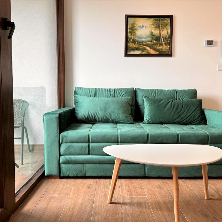 Lexi Borovi apartman - Apartman sa 1 Spavaćom Sobom - 6