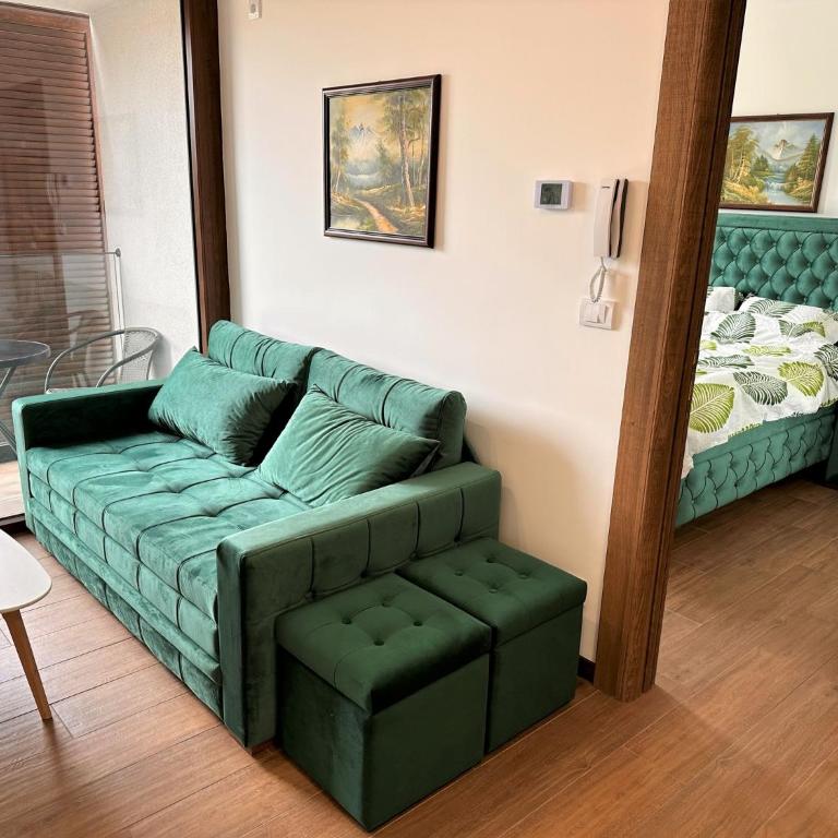 Lexi Borovi apartman - Apartman sa 1 Spavaćom Sobom - 18